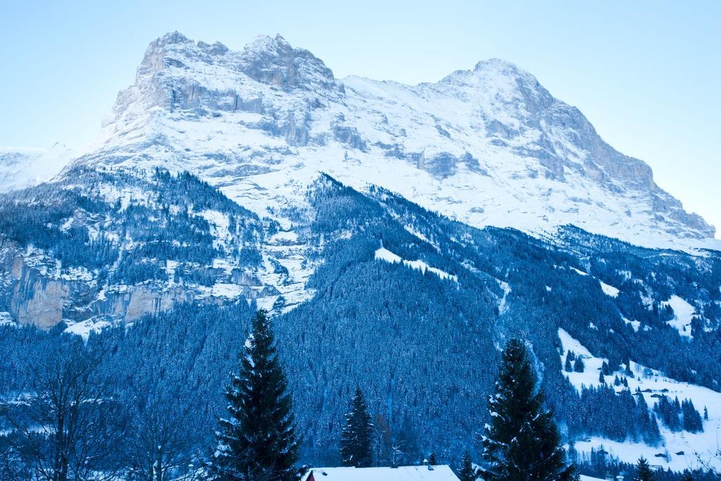 Bernerhof Residence Grindelwald Buitenkant foto